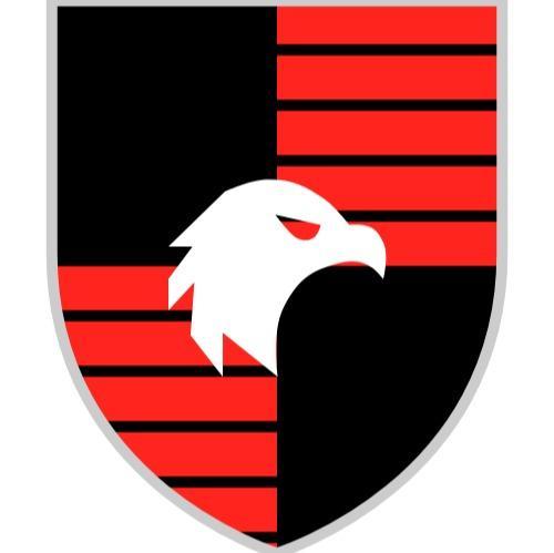 ES-Flamengo 1981 (Everaldo Fabio)