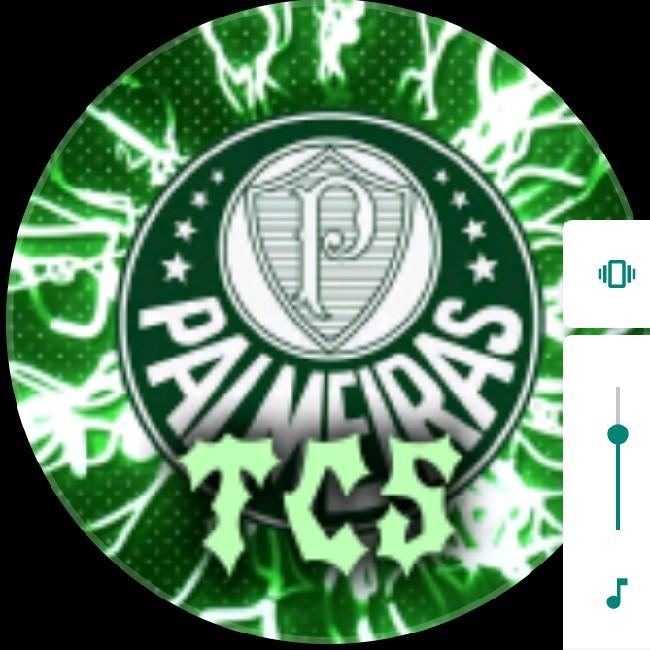 Palmeiras tcs