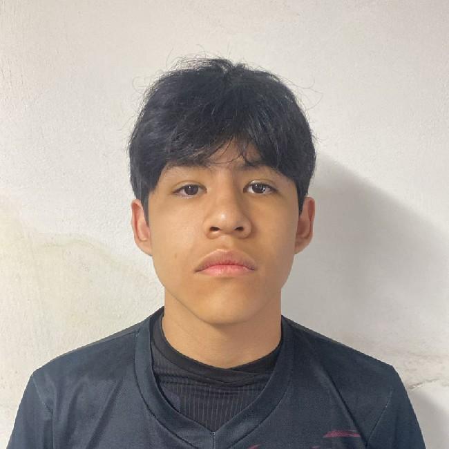 Emiliano Pérez Villamil