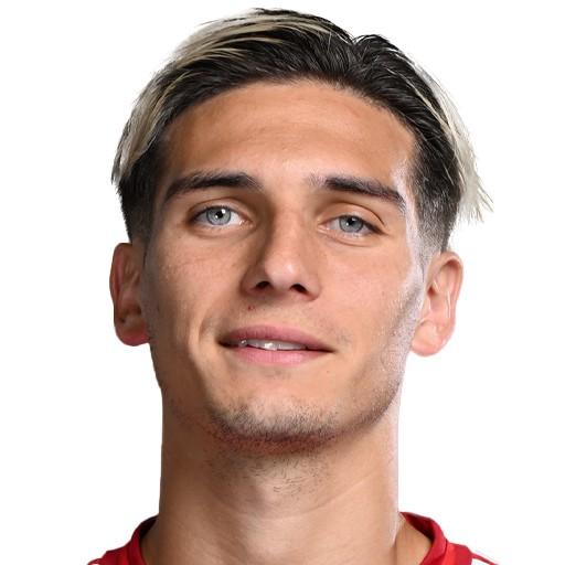 NICOLAS DOMINGUEZ