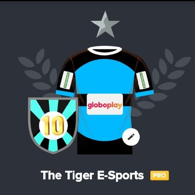 The Tiger E-Sports