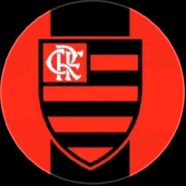 Flamengo tcs