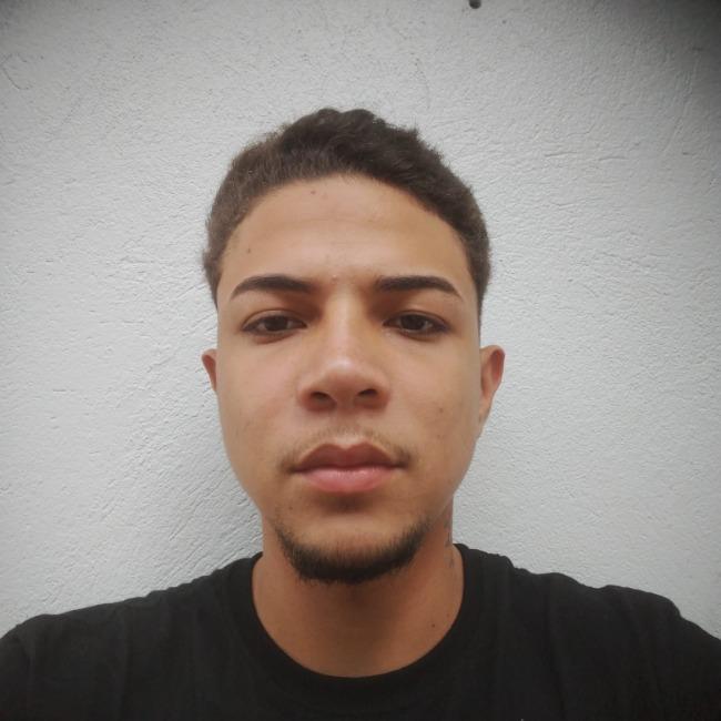 EWERTON HENRIQUE VIEIRA DA SILVA