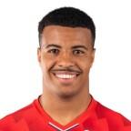 Хамза Игаман