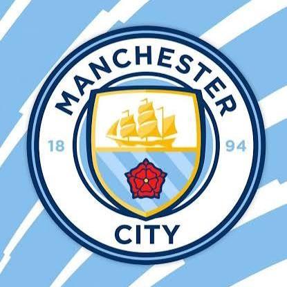 Manchester city-barnie_10