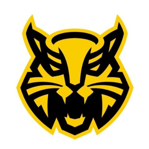 Северсталь