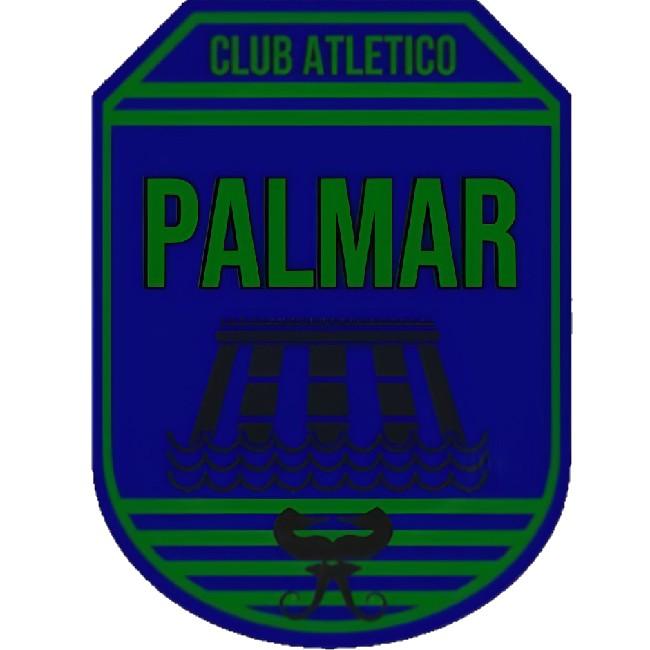 C.A. Palmar Soriano