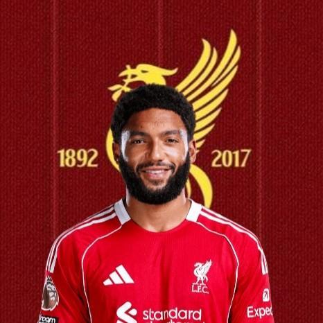 Joe Gomez
