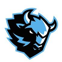 Динамо Минск