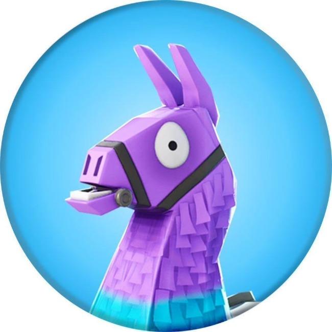 Llama