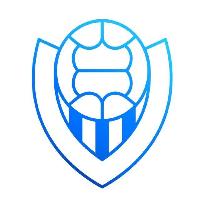 Викингур Рейкьявик