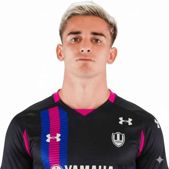 Нико Стейлс