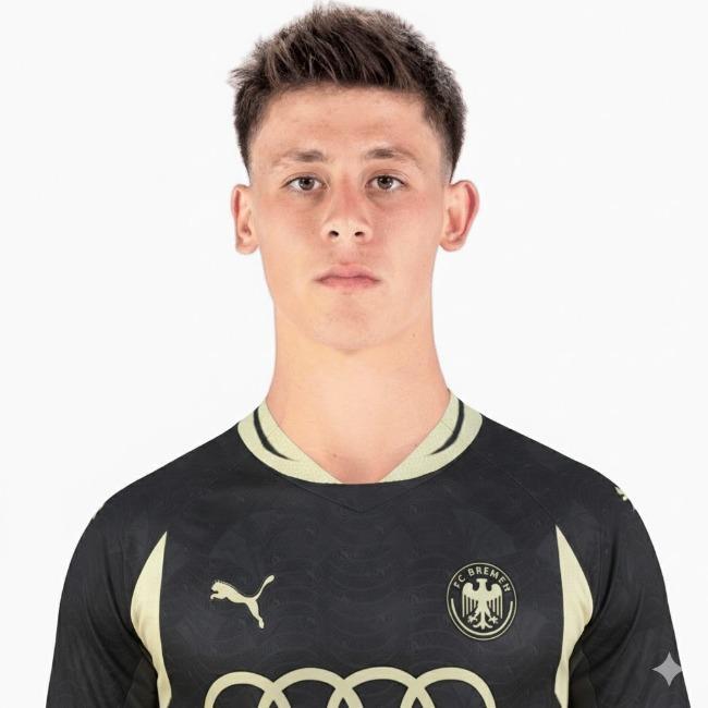 Милан Борич