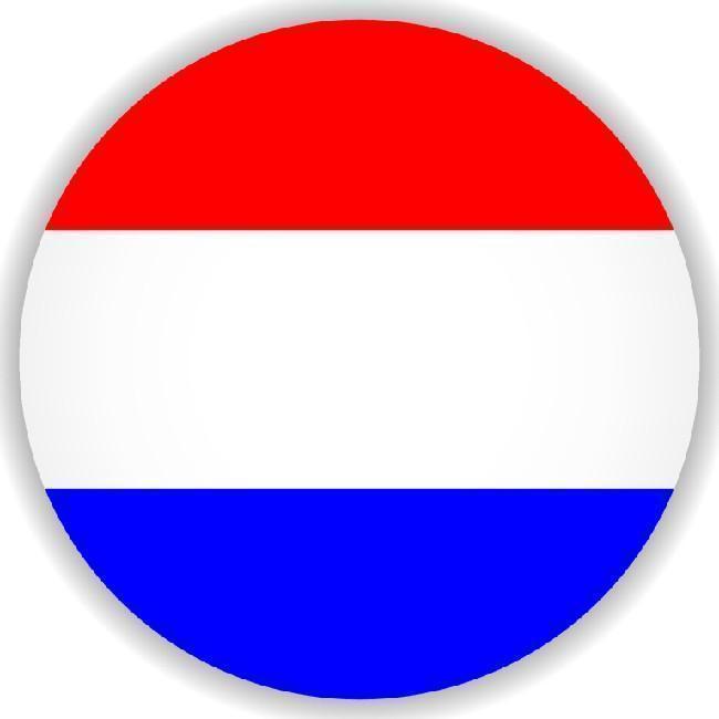 🇳🇱 Marcelo Reis