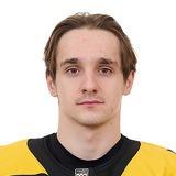 Чефанов Илья