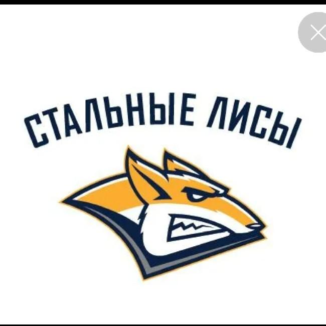 Стальные лисы