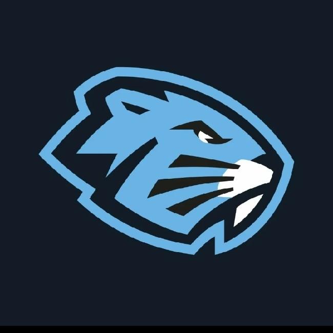 Динамо Шинник