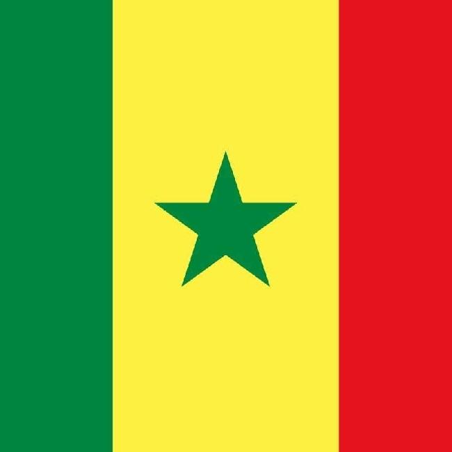 🇸🇳 Alerquina Gata