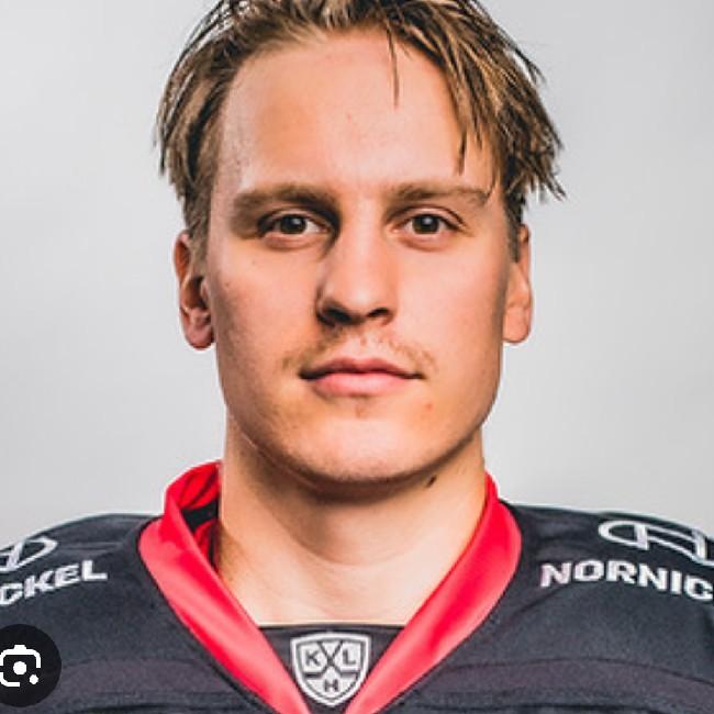 Э. Толванен НХЛ