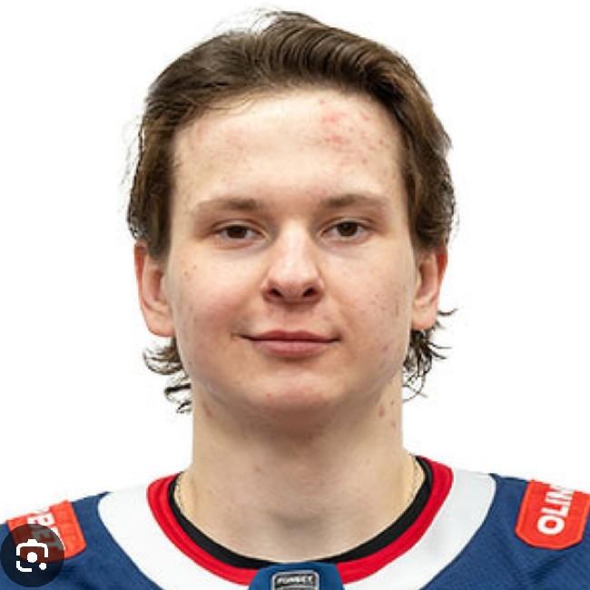 Криволапов