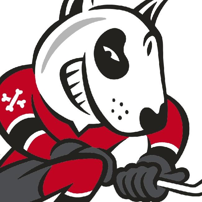 Niagara IceDogs