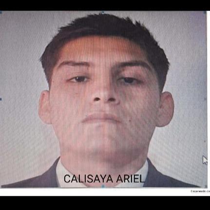 Calisaya Ariel