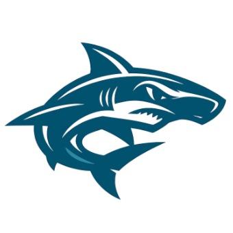 Honolulu Hammerheads