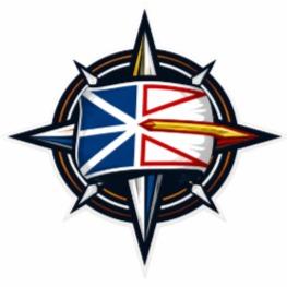 Newfoundland Pioneers