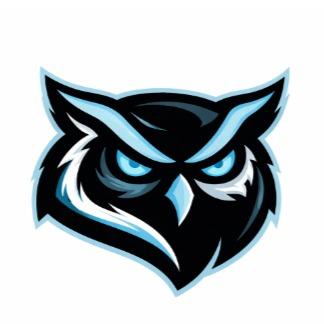 Cincinnati Owls