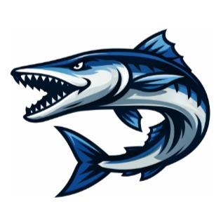 Hillsborough Barracudas