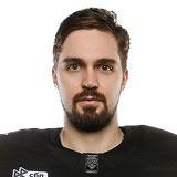 Дмитрий Николаев (В)