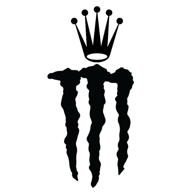 Skoda Monster Energy Racing