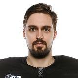 Николаев Дмитрий Н.