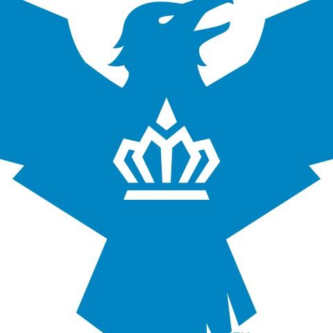 Carolina Royal Ravens