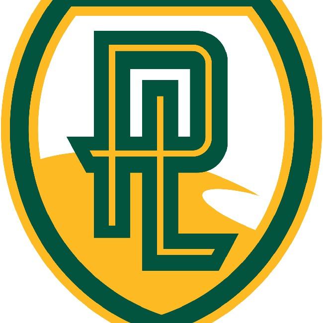 Point Loma Sea Lions