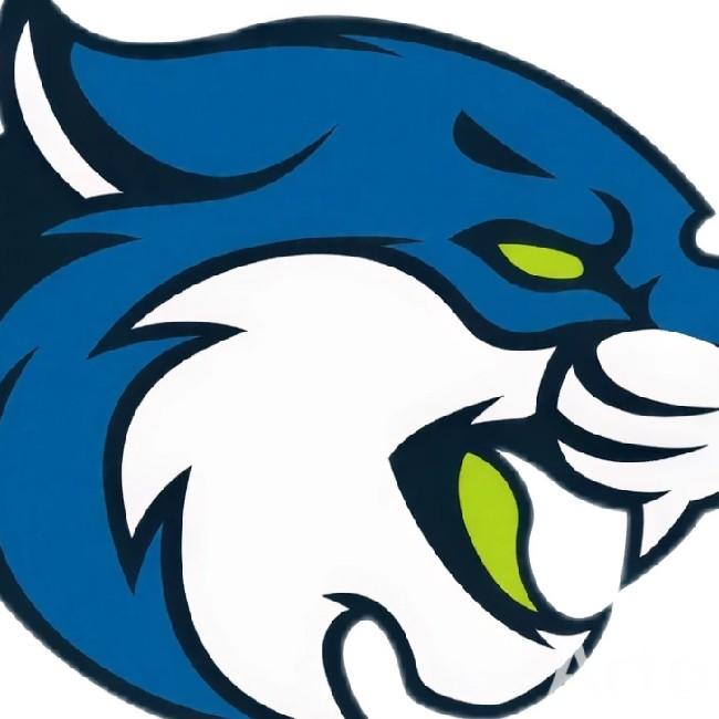 Bryant & Stratton Buffalo Bobcats