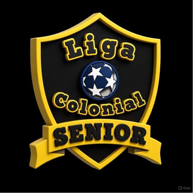 LIGA COLONIAL SENIOR