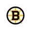 Boston Bruins