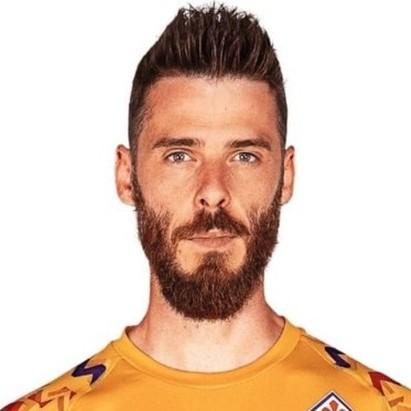 🇪🇸 David de Gea