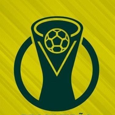 BRASILEIRÃO SERIE D 1° EDIÇÃO