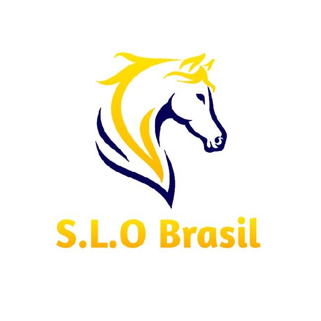 Arena S.L.O Brasil