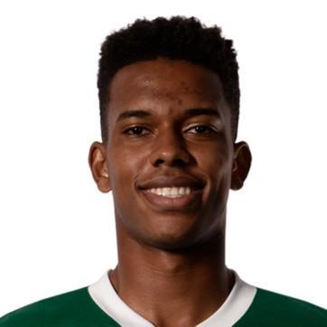 🇧🇷 Estevão