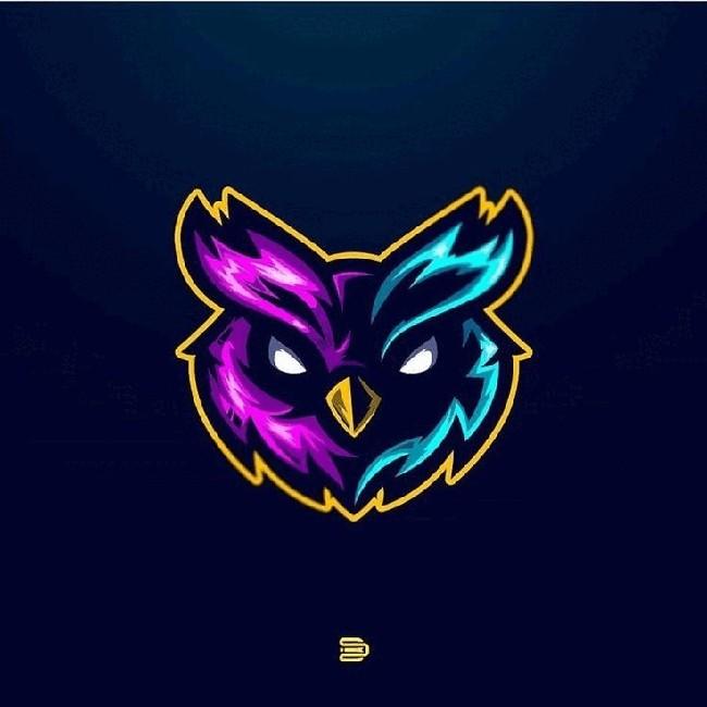 DARK OWLS B