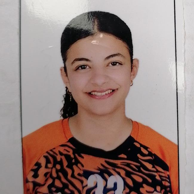 ملك عمرو حسين