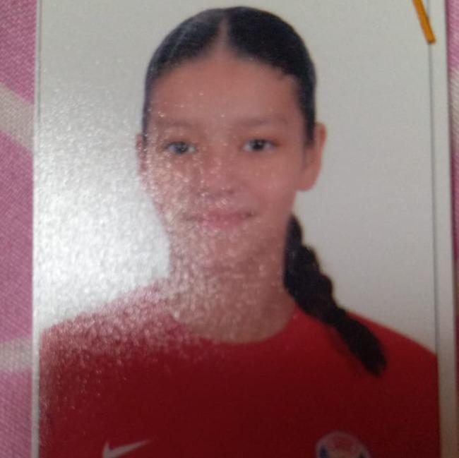 چودى احمد حسن