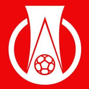 BRASILEIRÃO SERIE B 4° EDIÇÃO