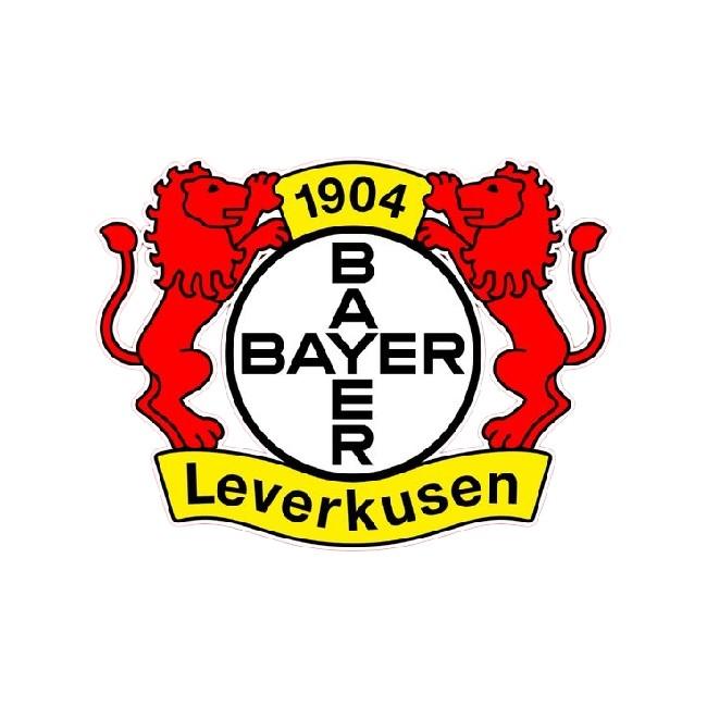 Bayer o4