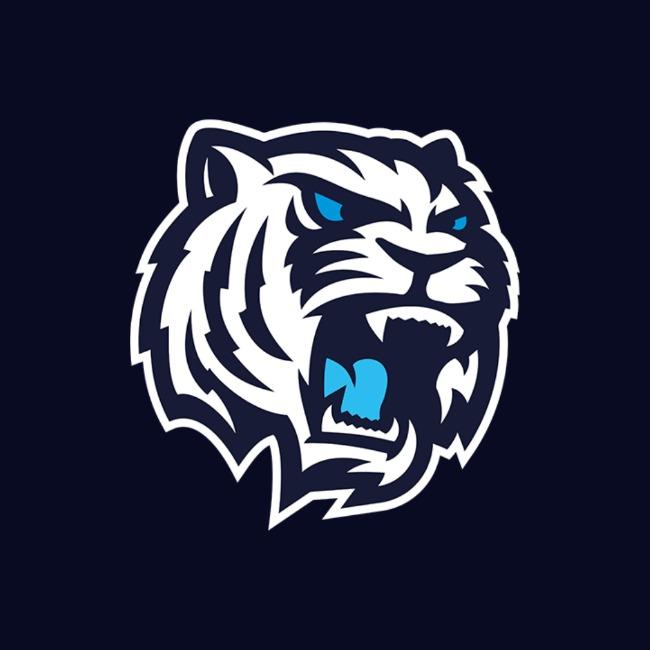 Bílí Tygři Liberec