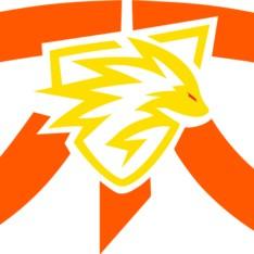 FNATIC ONIC