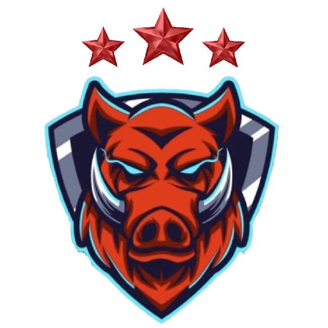 TEAM WILD BOARD 🇧🇴